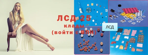 гидра Медвежьегорск
