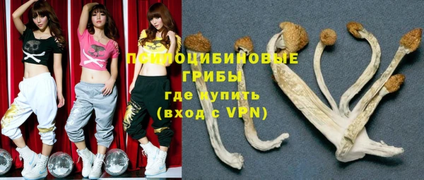 ALPHA-PVP Мегион