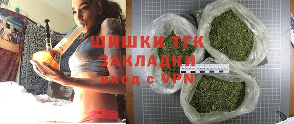гидра Медвежьегорск