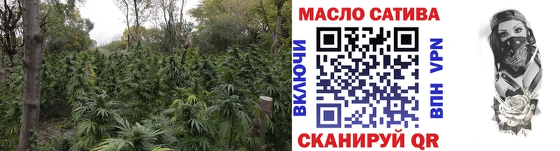 ТГК Wax  Палласовка 